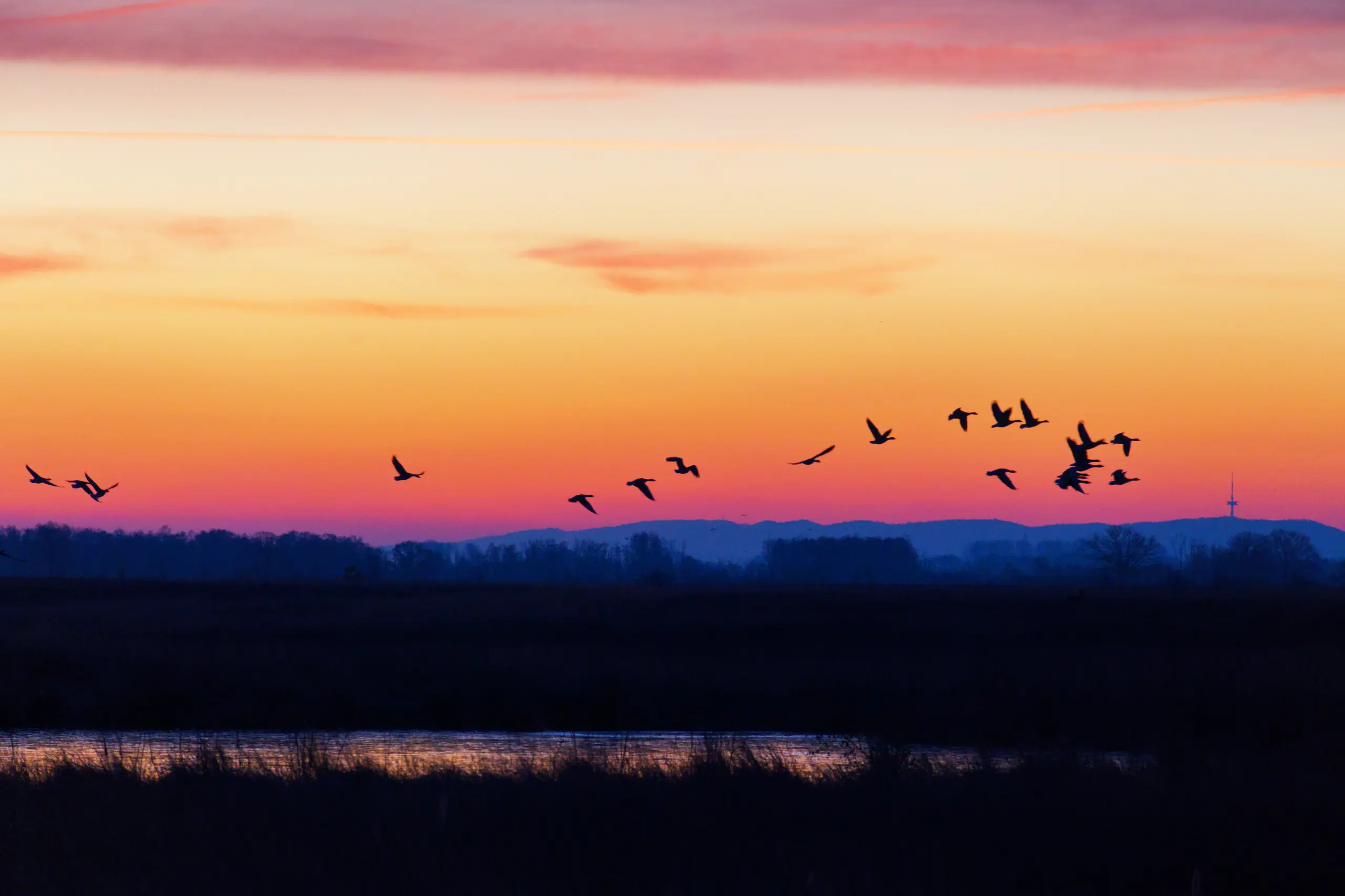 Morgenstimmung im Großen Torfmoor